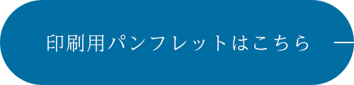 印刷用パンフレット